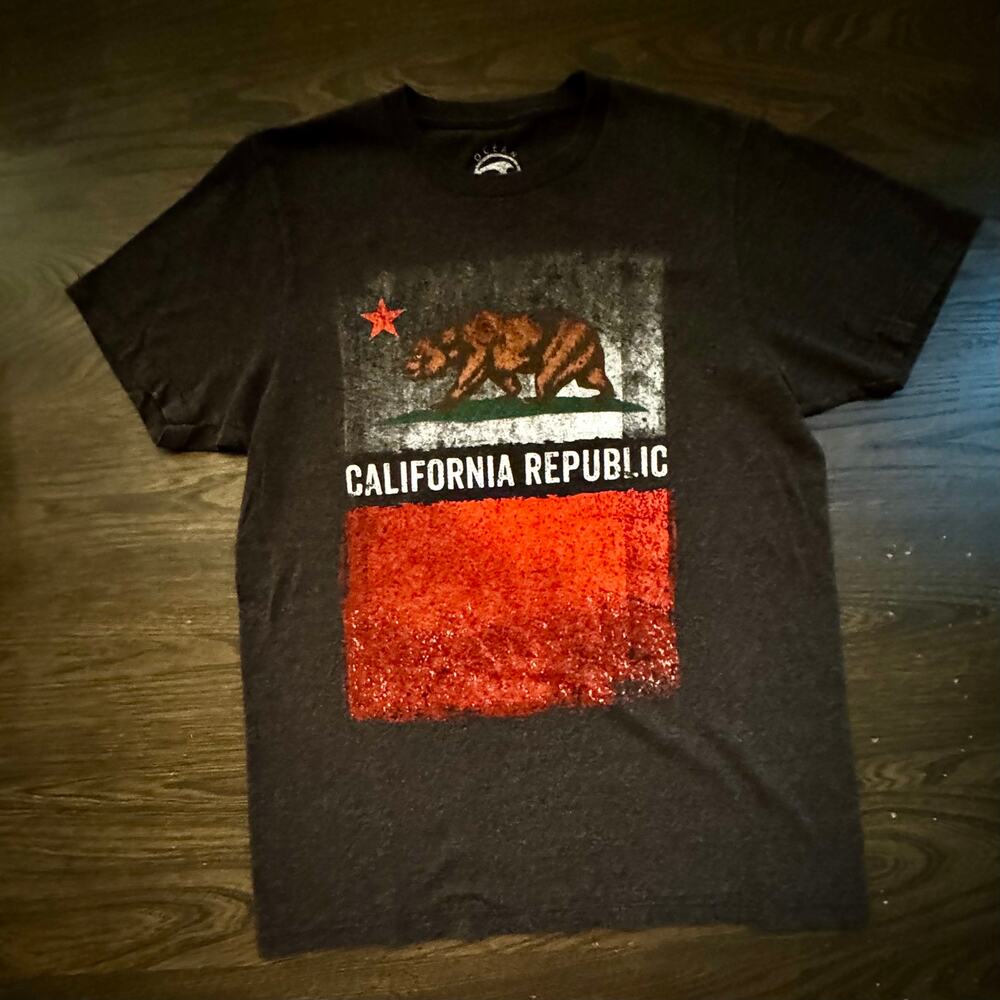 Ocean Current California Republic Graphic Tee Gray Medium